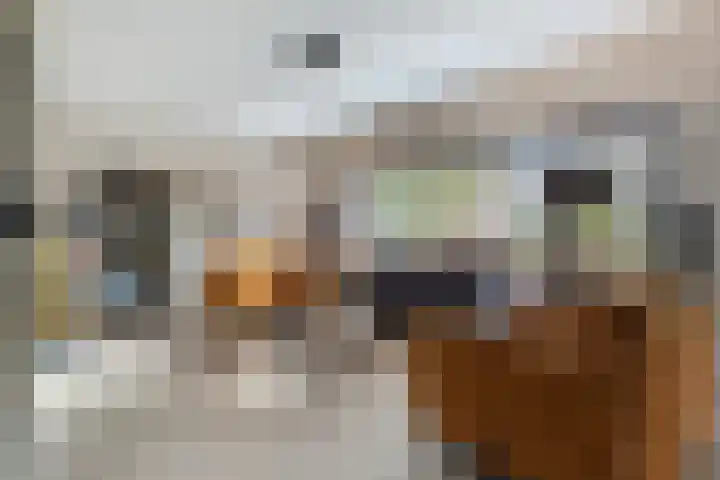 De Magnolia 40 Dedemsvaart thumbnail 11