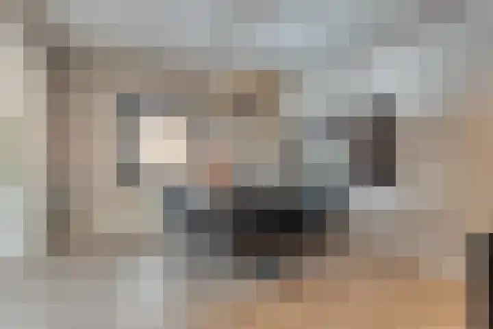 De Magnolia 40 Dedemsvaart thumbnail 15
