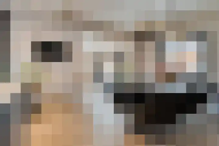 De Magnolia 40 Dedemsvaart thumbnail 16