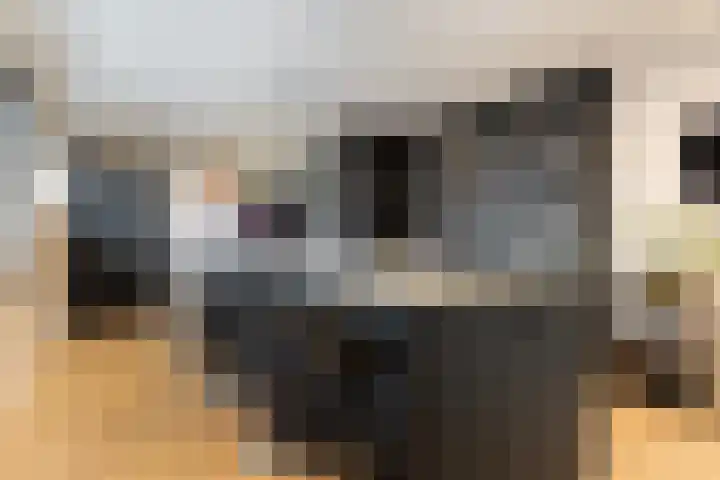 De Magnolia 40 Dedemsvaart thumbnail 17