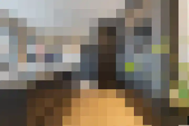 De Magnolia 40 Dedemsvaart thumbnail 18