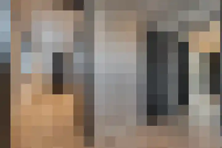 De Magnolia 40 Dedemsvaart thumbnail 23