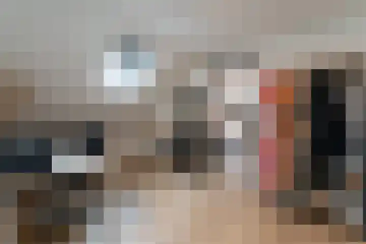 De Magnolia 40 Dedemsvaart thumbnail 38