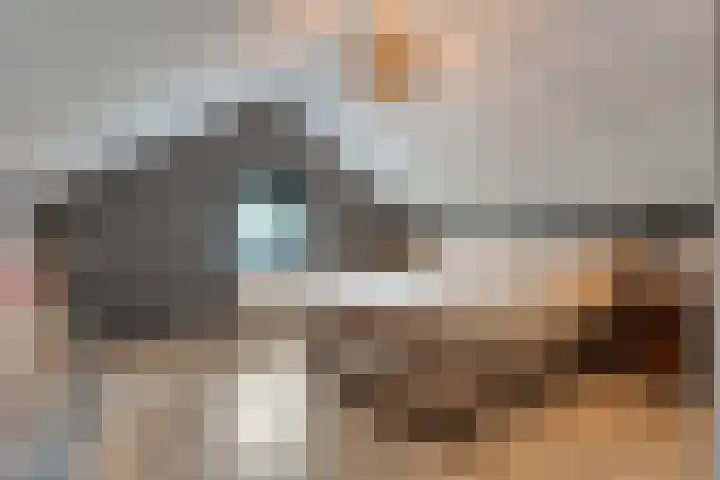 De Magnolia 40 Dedemsvaart thumbnail 41