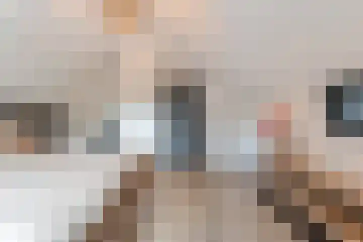 De Magnolia 40 Dedemsvaart thumbnail 42
