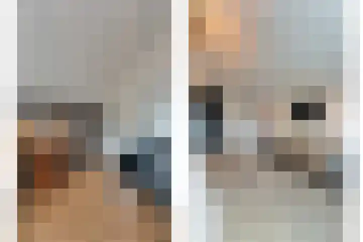 De Magnolia 40 Dedemsvaart thumbnail 43
