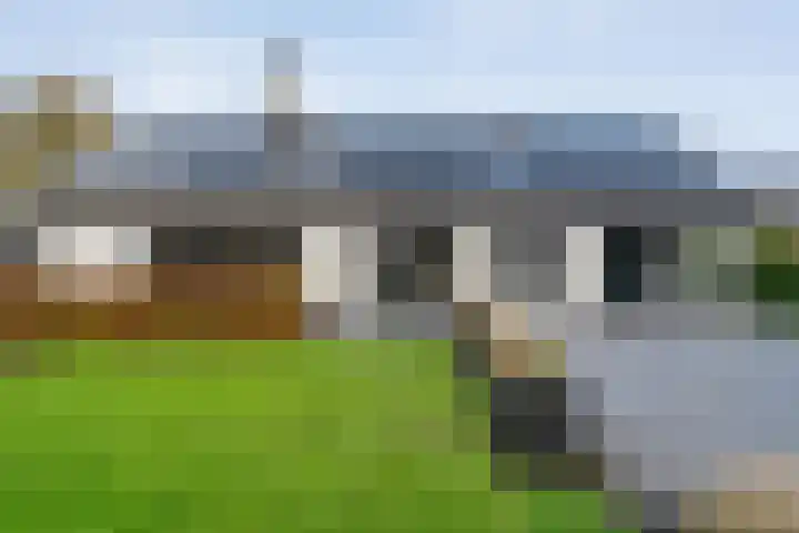 De Magnolia 40 Dedemsvaart thumbnail 5