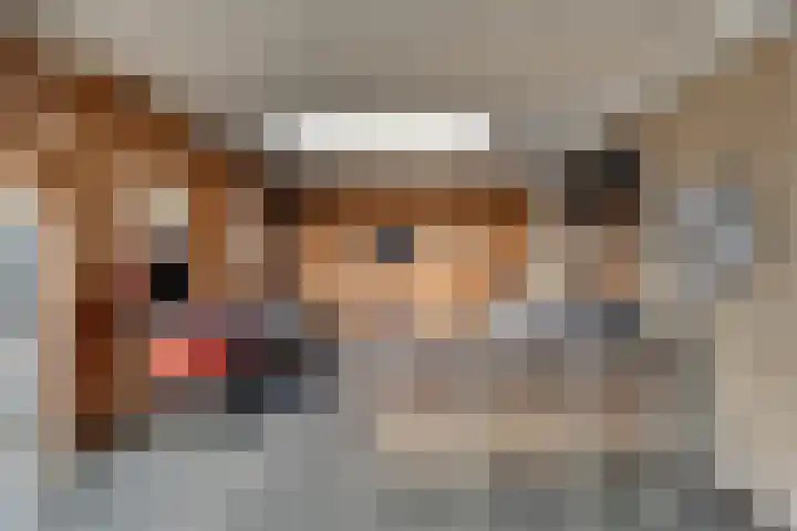 De Magnolia 40 Dedemsvaart thumbnail 52