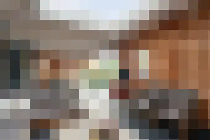 De Magnolia 40 Dedemsvaart thumbnail 53