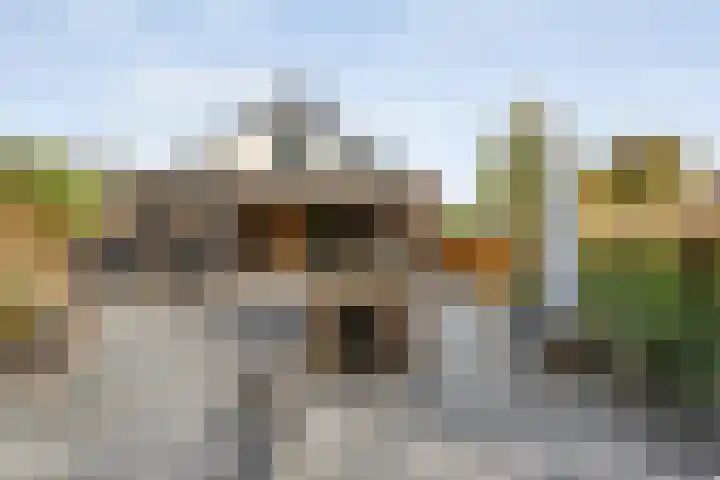 De Magnolia 40 Dedemsvaart thumbnail 56