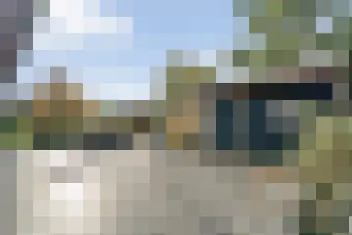 De Magnolia 40 Dedemsvaart thumbnail 57