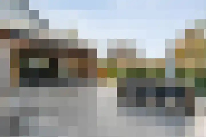 De Magnolia 40 Dedemsvaart thumbnail 58