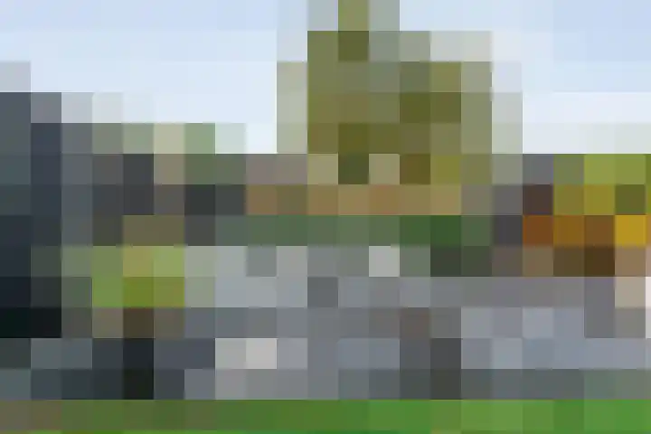 De Magnolia 40 Dedemsvaart thumbnail 60