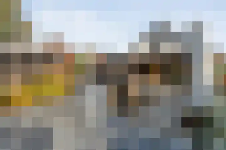 De Magnolia 40 Dedemsvaart thumbnail 63