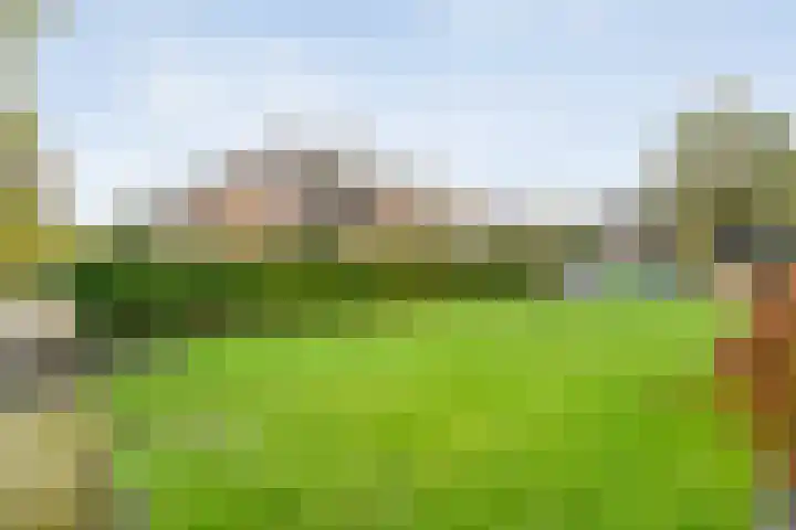 De Magnolia 40 Dedemsvaart thumbnail 64