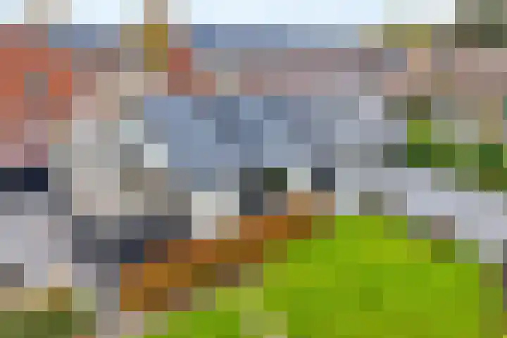 De Magnolia 40 Dedemsvaart thumbnail 65