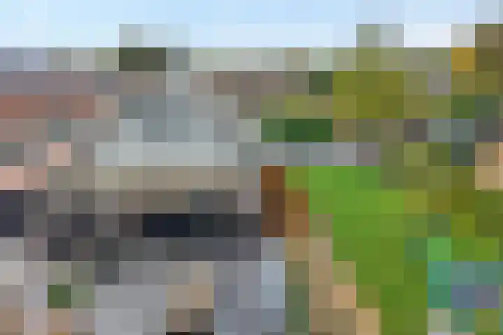 De Magnolia 40 Dedemsvaart thumbnail 66