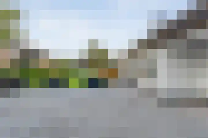 De Magnolia 40 Dedemsvaart thumbnail 68