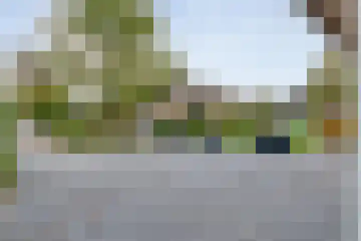 De Magnolia 40 Dedemsvaart thumbnail 69