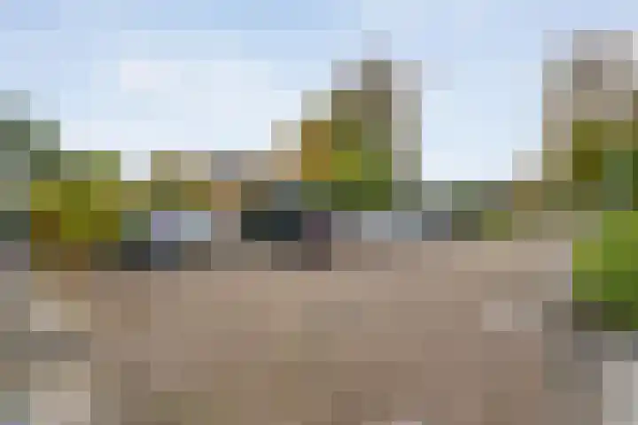 De Magnolia 40 Dedemsvaart thumbnail 70