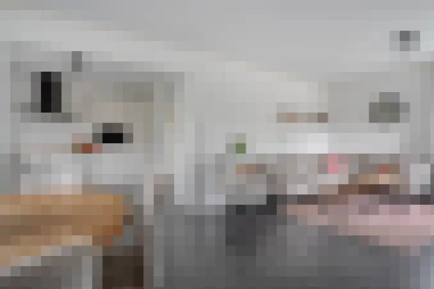 De Magnolia 42 Dedemsvaart thumbnail 11