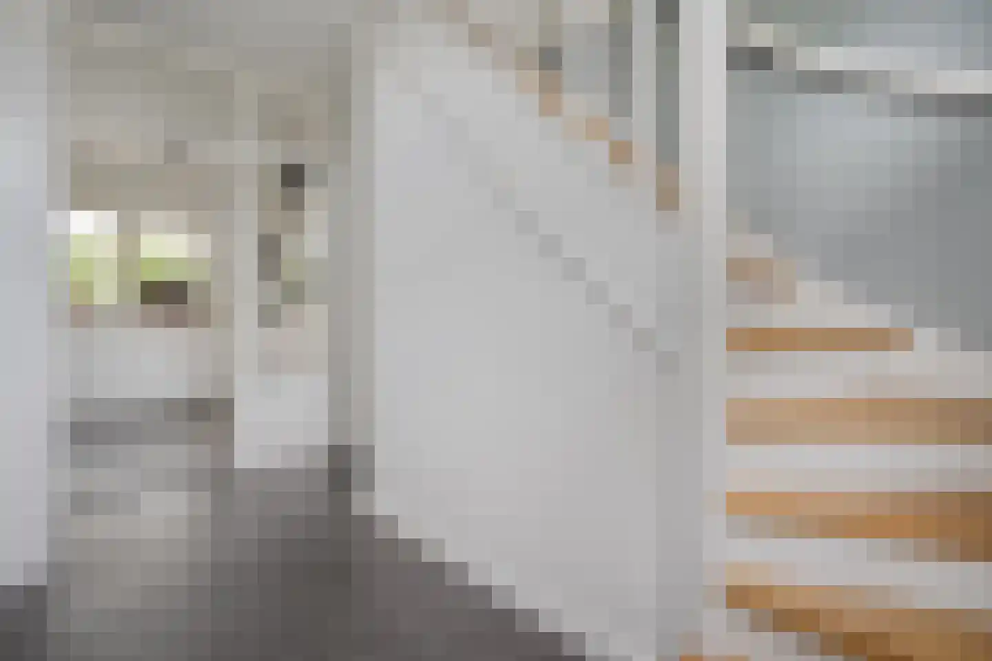 De Magnolia 42 Dedemsvaart thumbnail 18