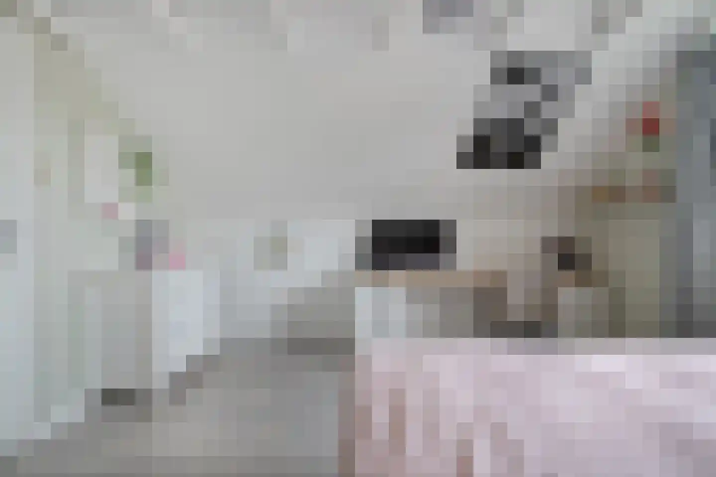 De Magnolia 42 Dedemsvaart thumbnail 32