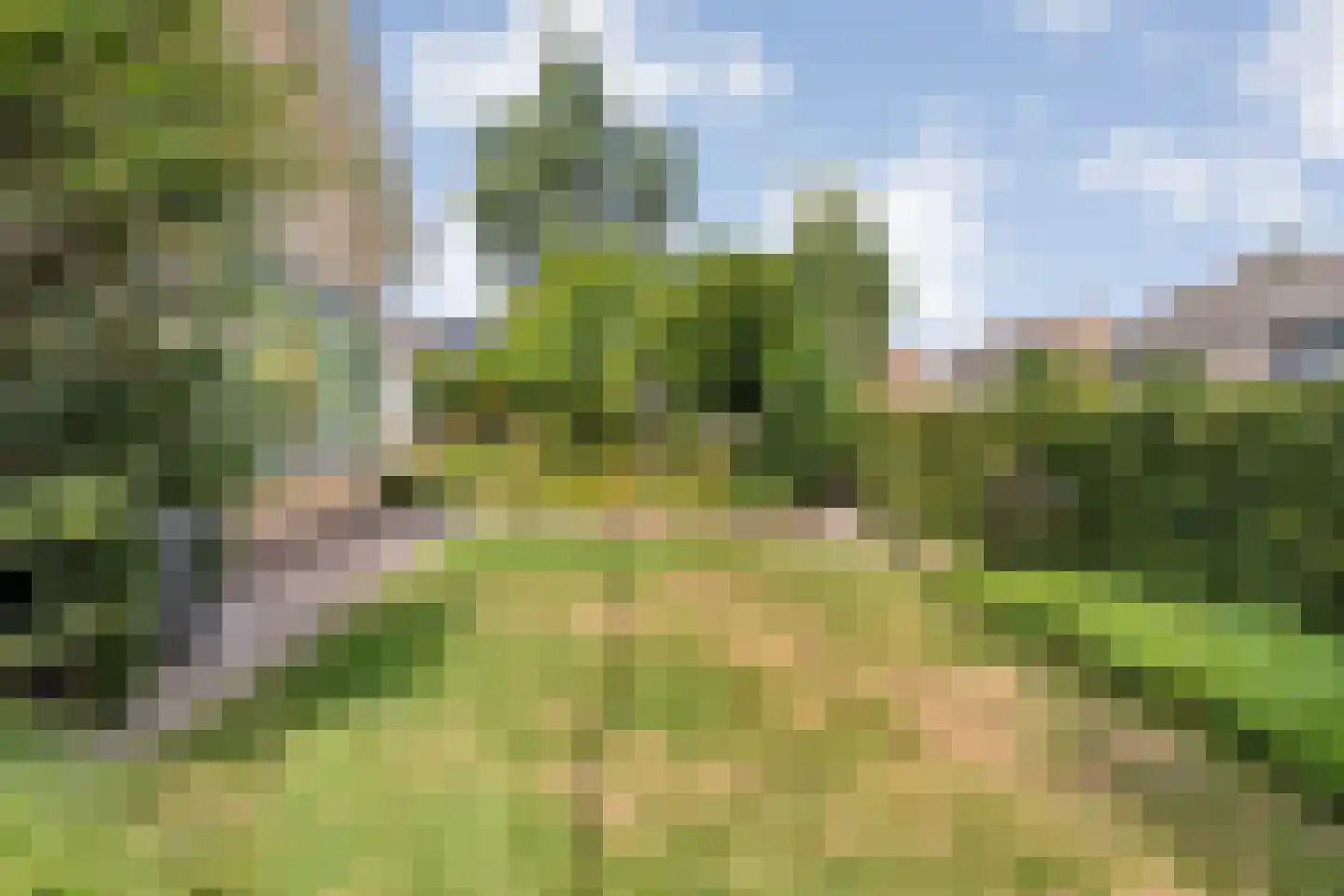 De Magnolia 42 Dedemsvaart thumbnail 43