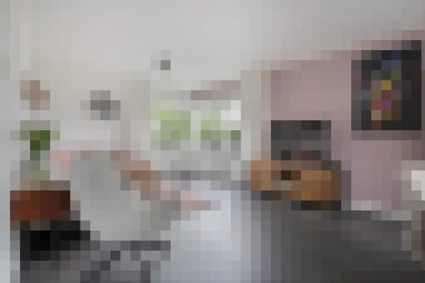 De Magnolia 42 Dedemsvaart thumbnail 5