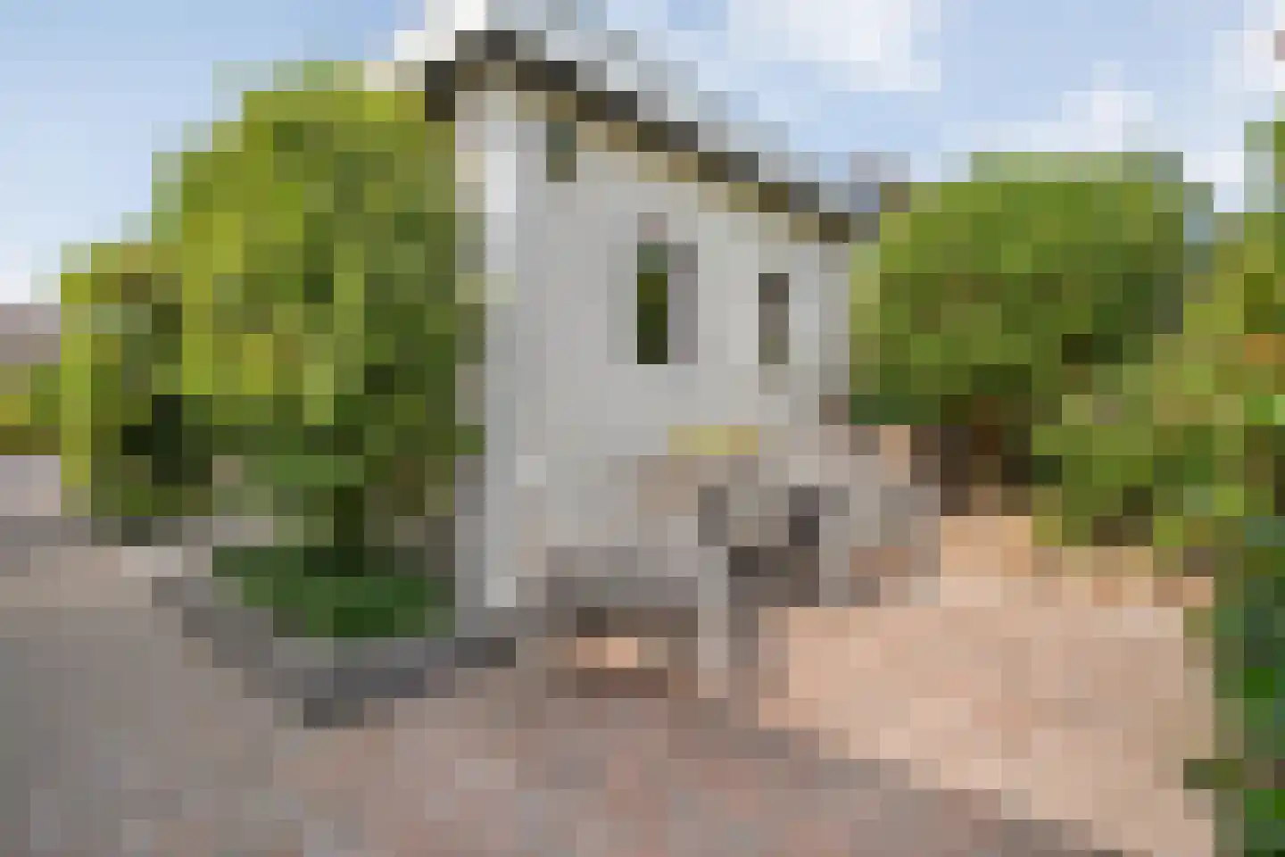 De Magnolia 42 Dedemsvaart thumbnail 51
