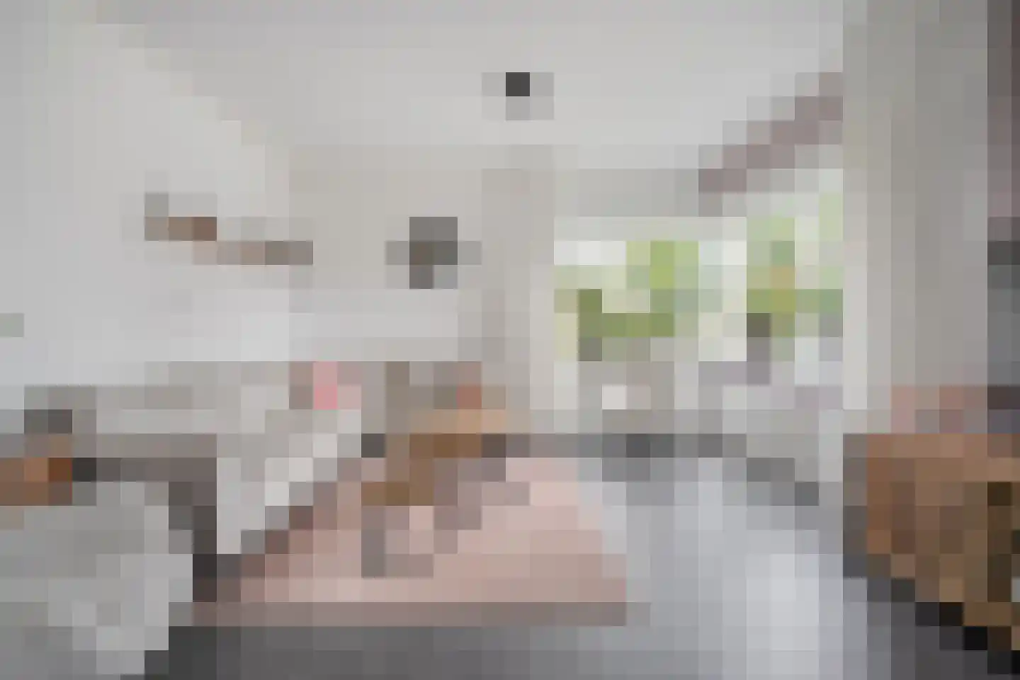 De Magnolia 42 Dedemsvaart thumbnail 6
