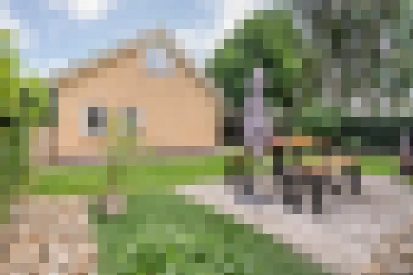 De Magnolia 42 Dedemsvaart thumbnail 63