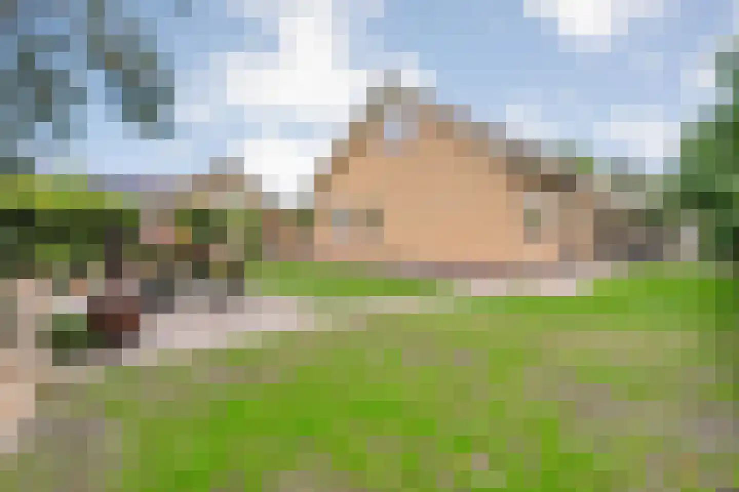 De Magnolia 42 Dedemsvaart thumbnail 64