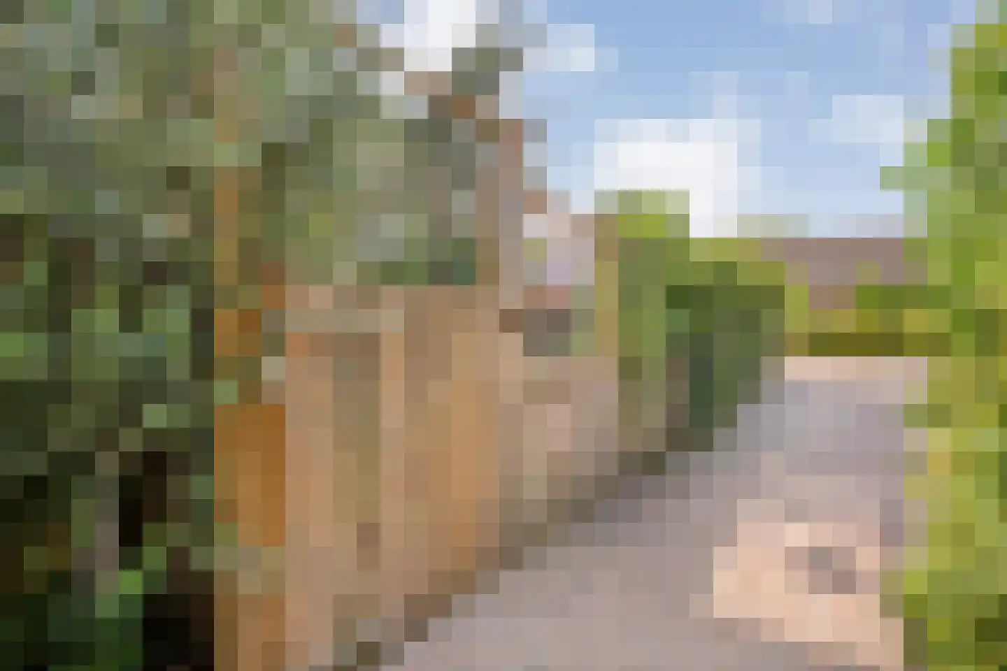 De Magnolia 42 Dedemsvaart thumbnail 66