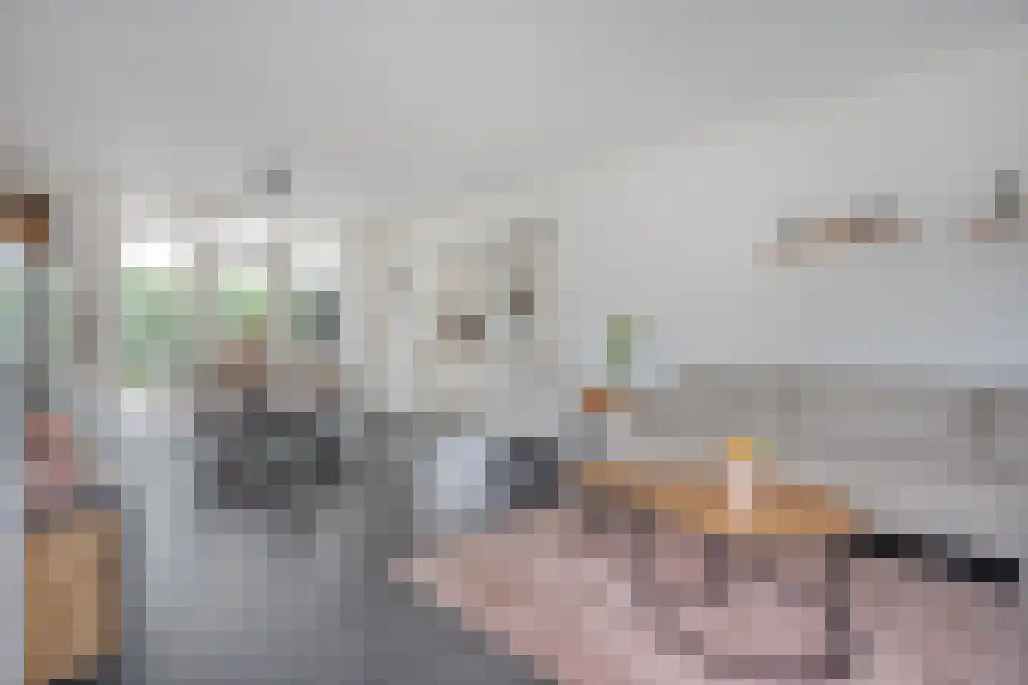 De Magnolia 42 Dedemsvaart thumbnail 7