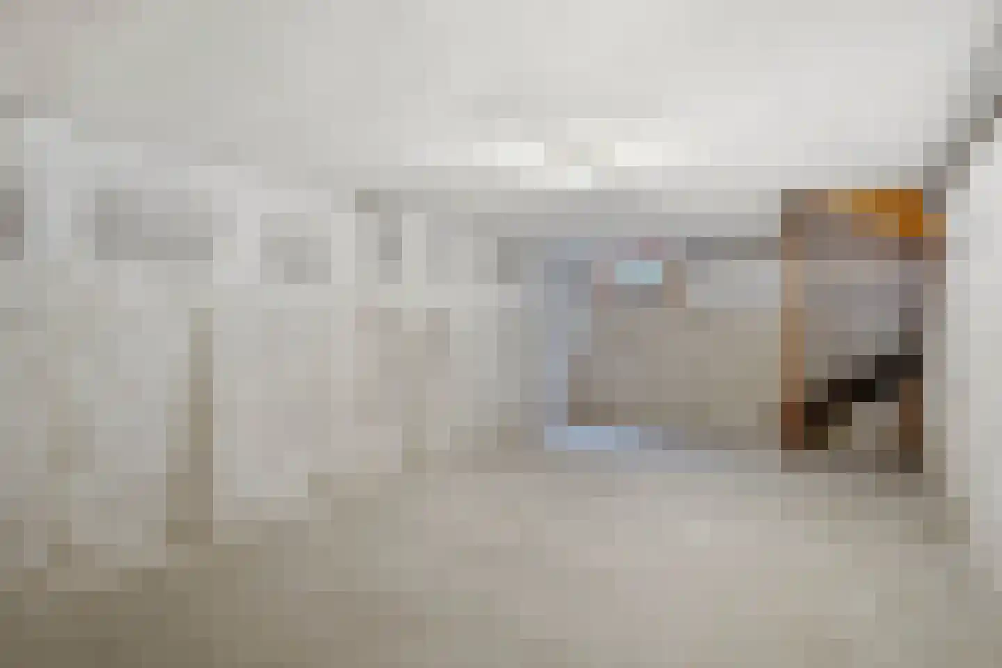 de Mahonie 8 Boxmeer thumbnail 16