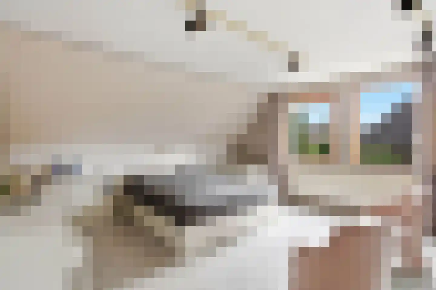 de Mahonie 8 Boxmeer thumbnail 18