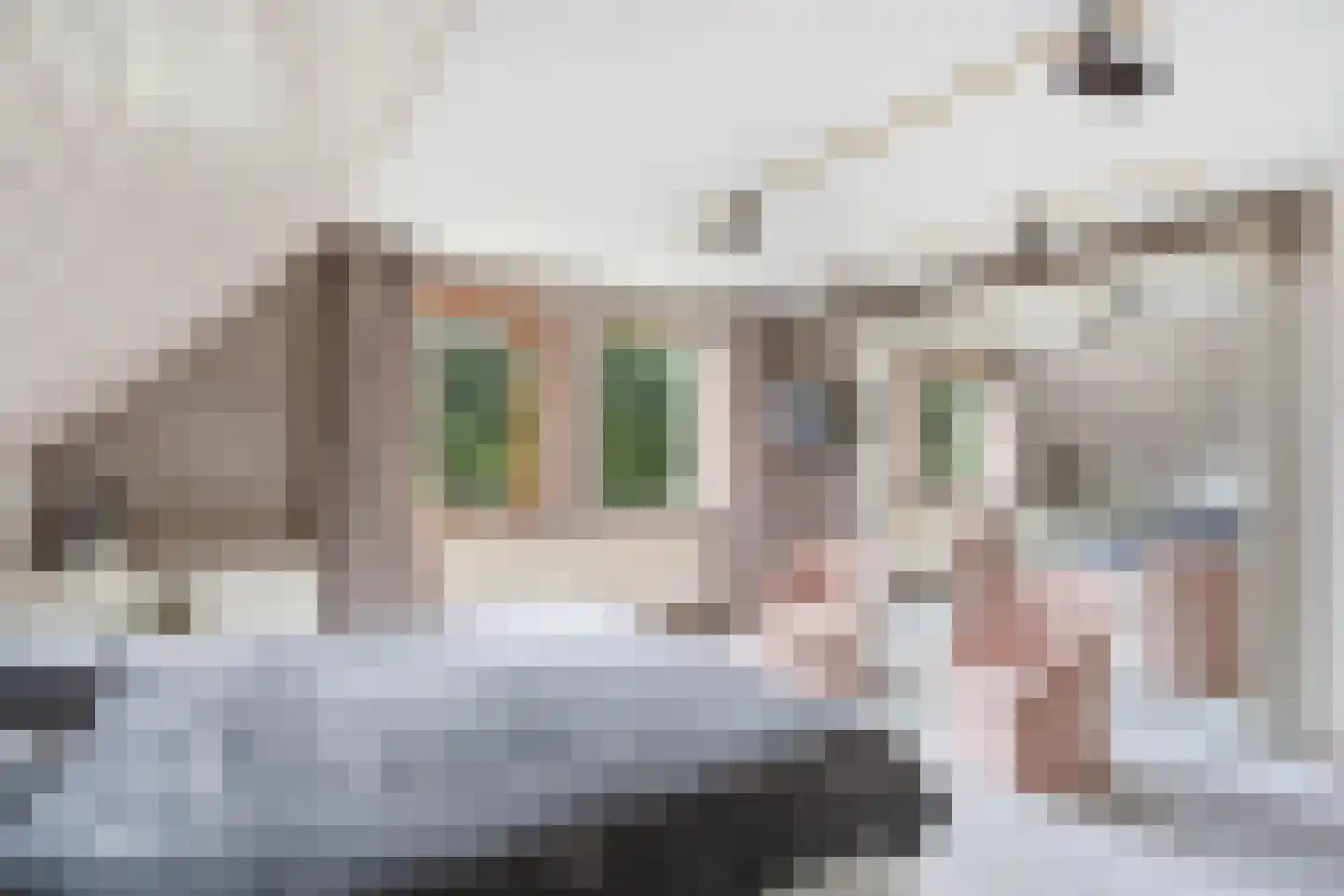 de Mahonie 8 Boxmeer thumbnail 19