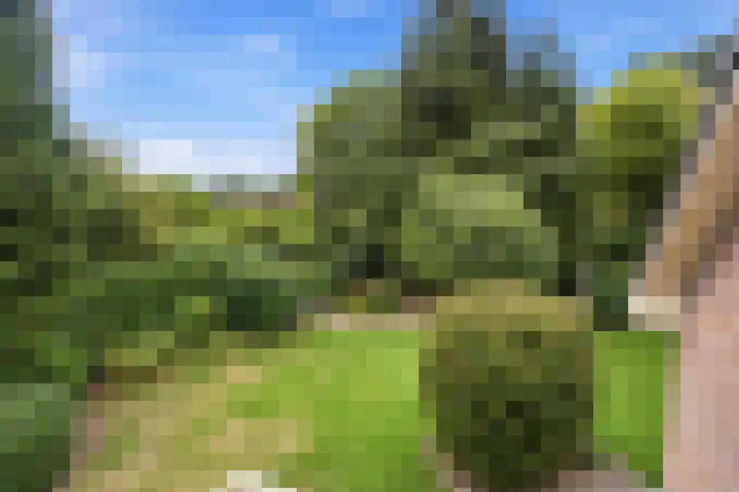 de Mahonie 8 Boxmeer thumbnail 23