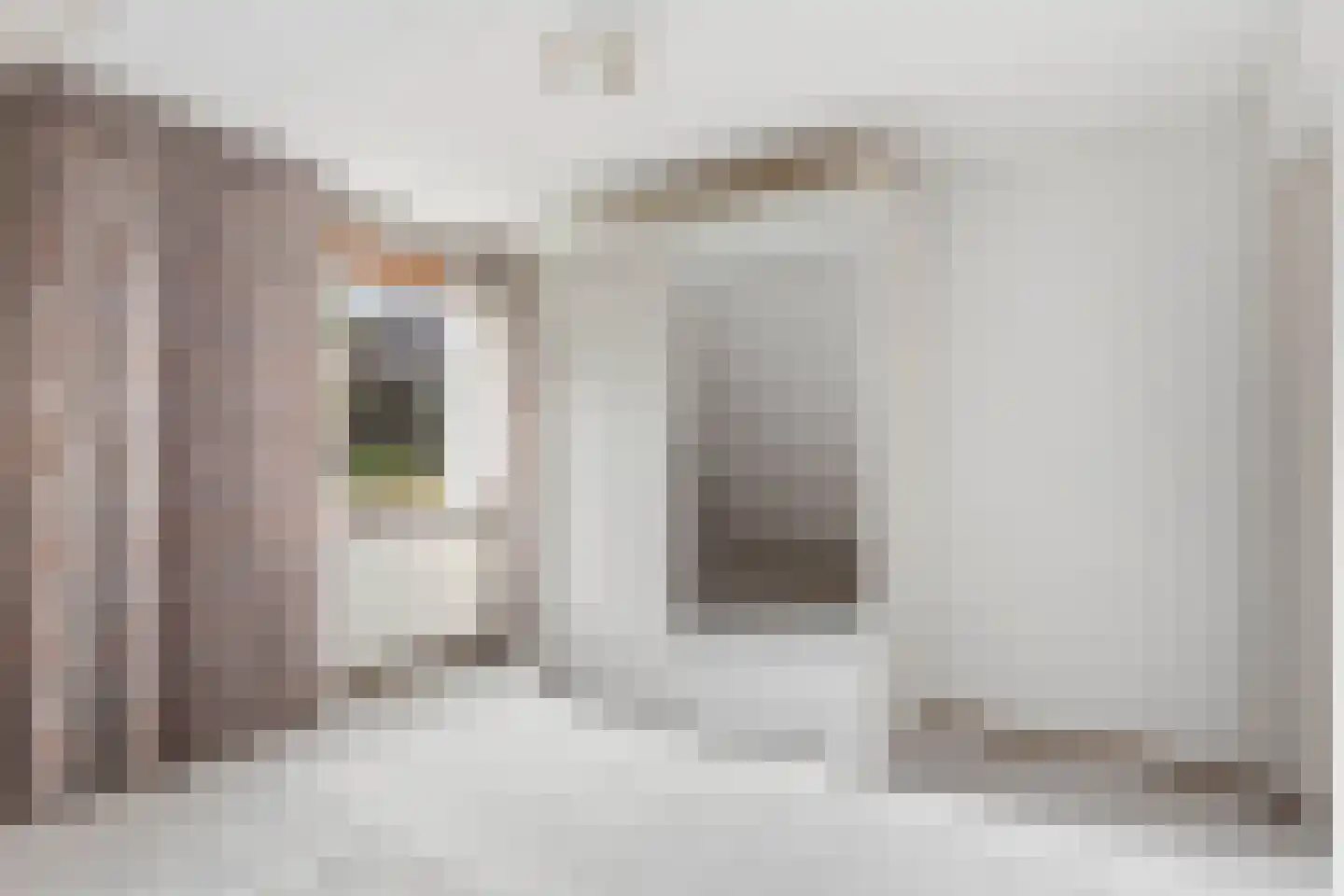 de Mahonie 8 Boxmeer thumbnail 28