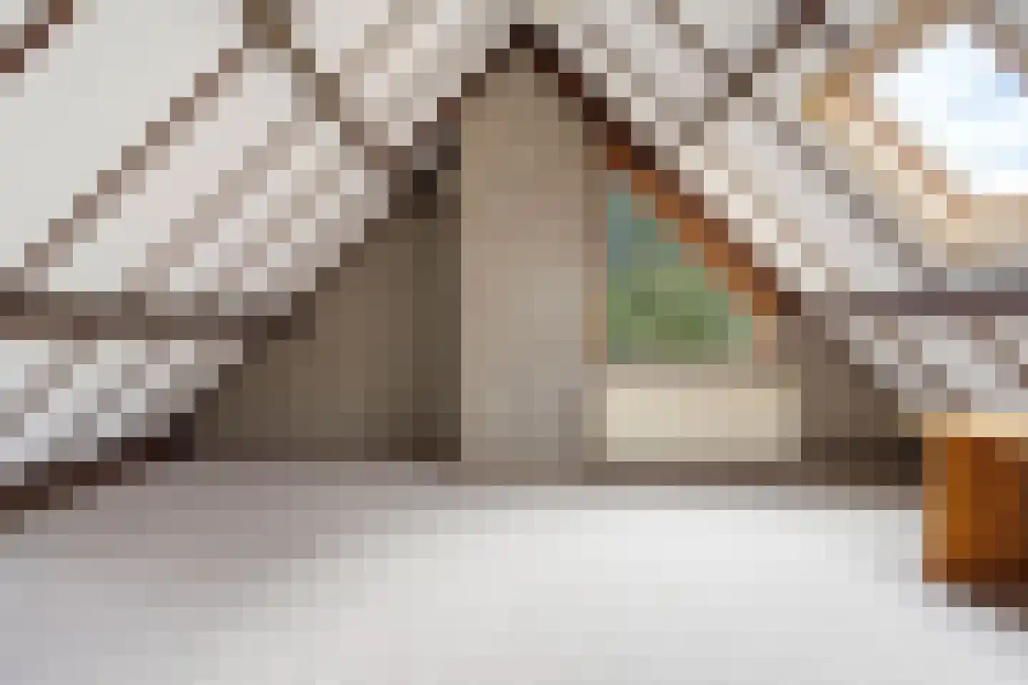 de Mahonie 8 Boxmeer thumbnail 31