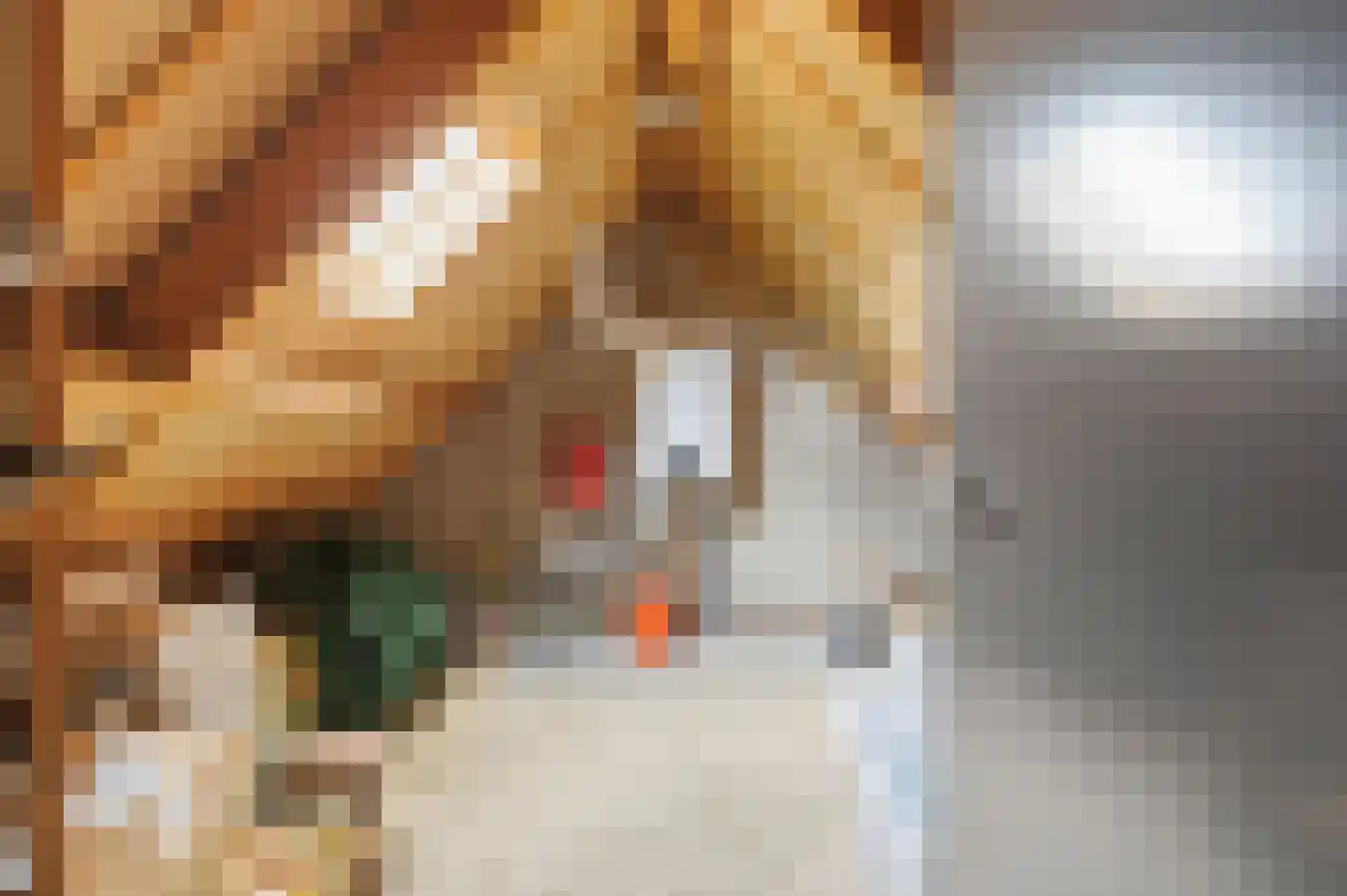 de Mahonie 8 Boxmeer thumbnail 33