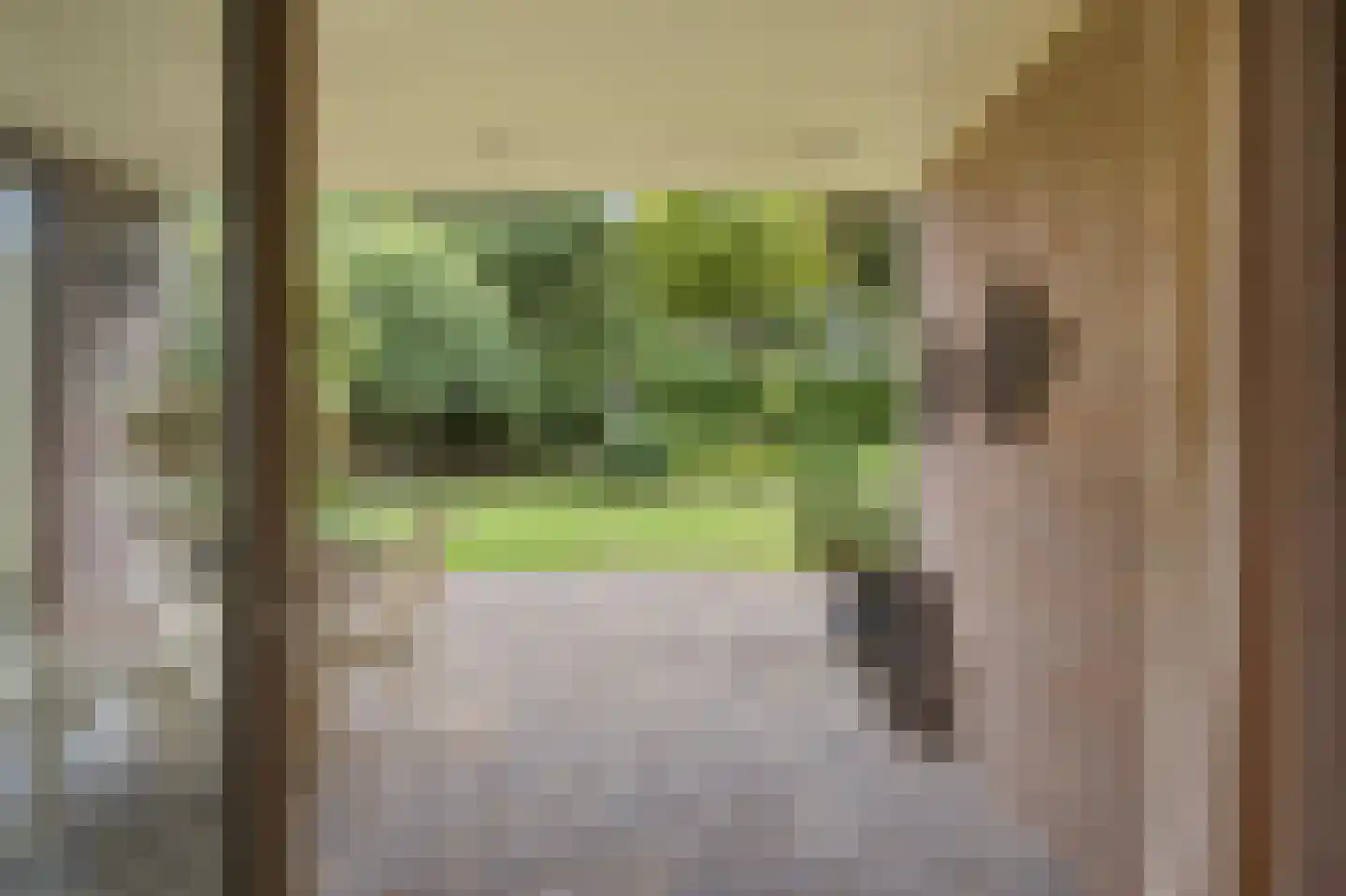de Mahonie 8 Boxmeer thumbnail 34