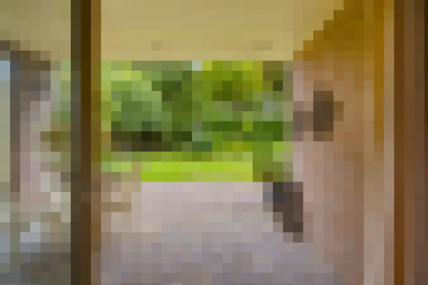 de Mahonie 8 Boxmeer thumbnail 34