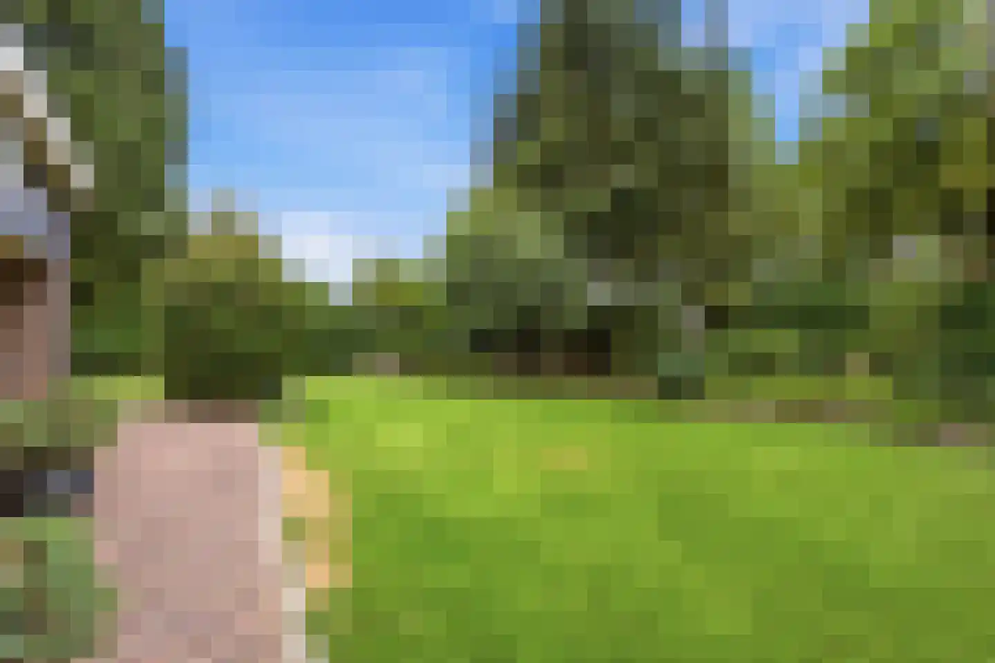 de Mahonie 8 Boxmeer thumbnail 37