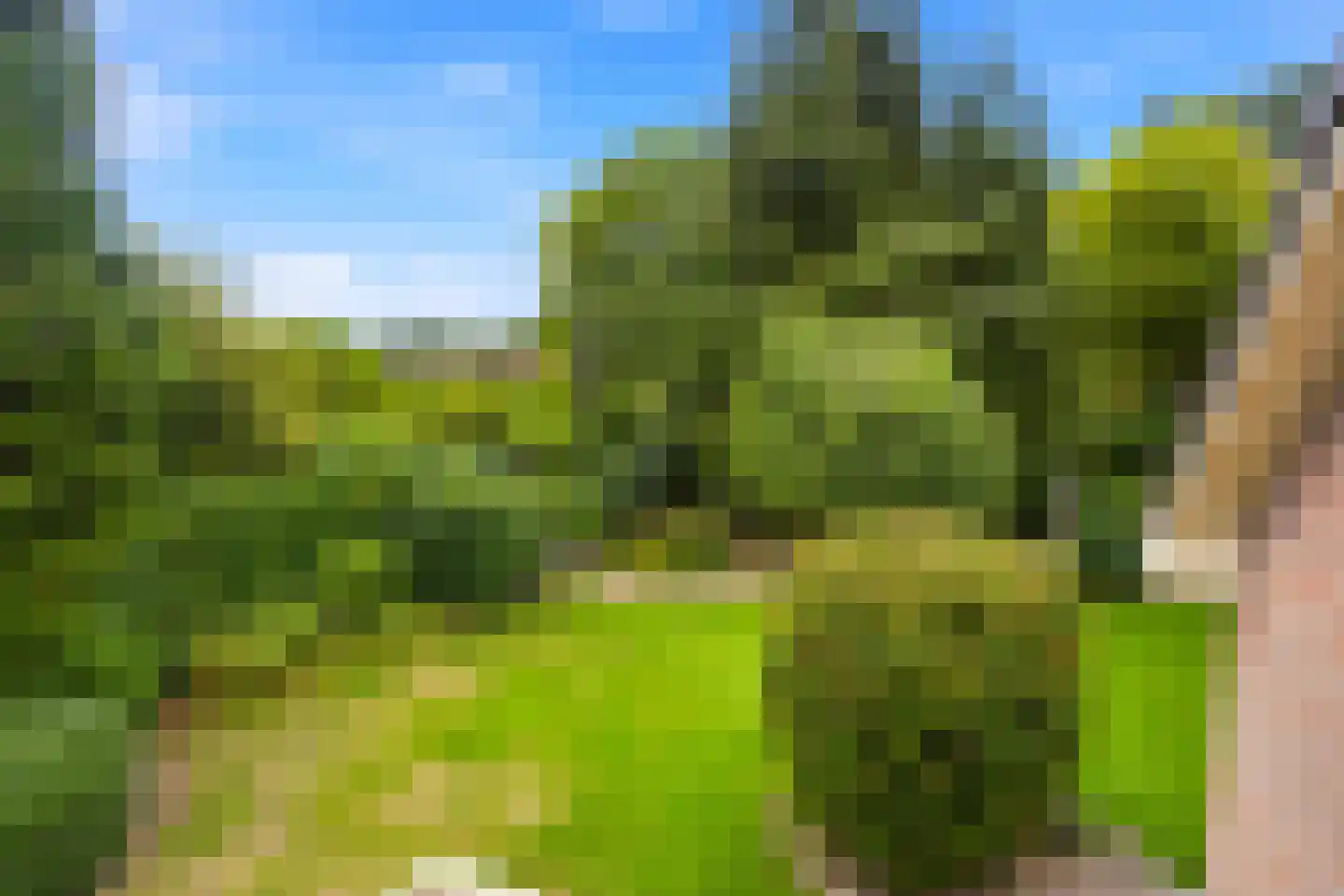 de Mahonie 8 Boxmeer thumbnail 39
