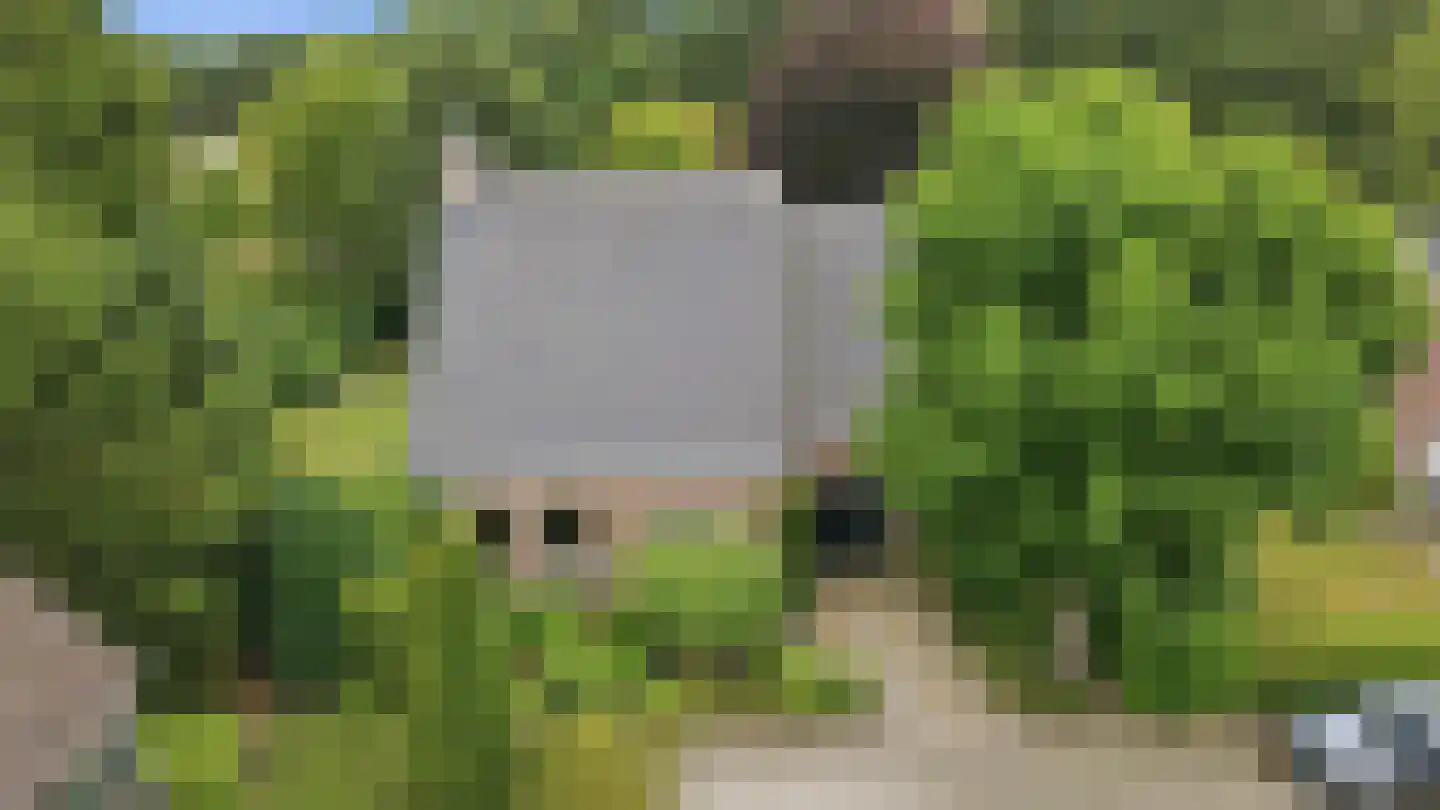 de Mahonie 8 Boxmeer thumbnail 41