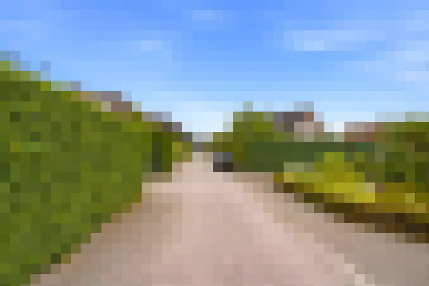 de Mahonie 8 Boxmeer thumbnail 51