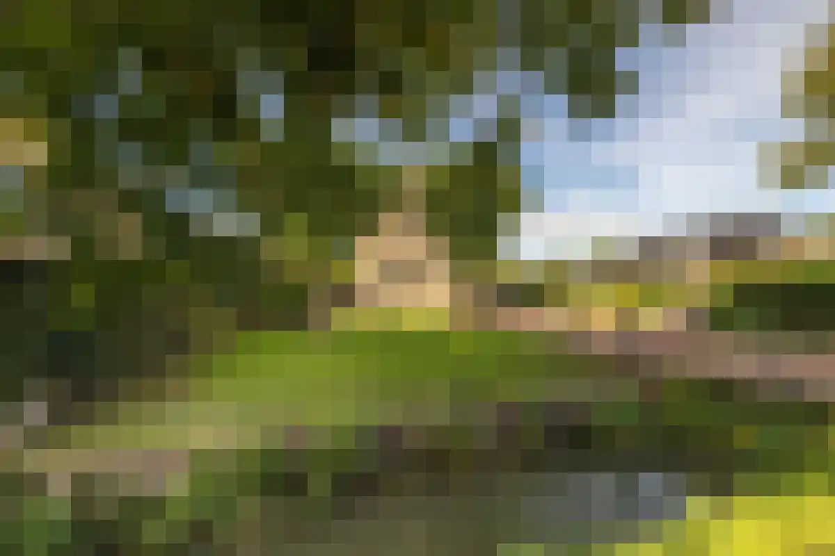 De Malapertweg 4 Nieuwegein thumbnail 6