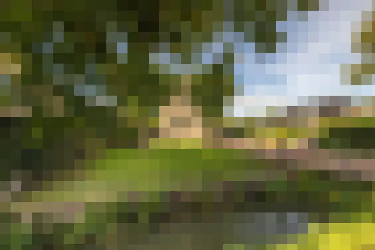 De Malapertweg 4 Nieuwegein thumbnail 6